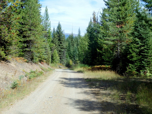 The view south, down NF 9719 (GDMBR, MT).